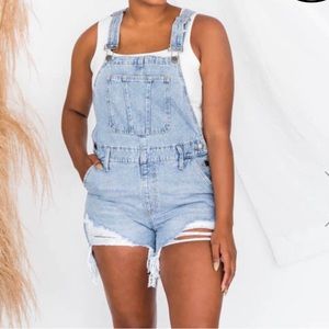 Nature Denim Distressed Overall Shorts